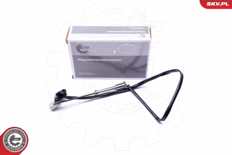 Sensor, exhaust gas temperature